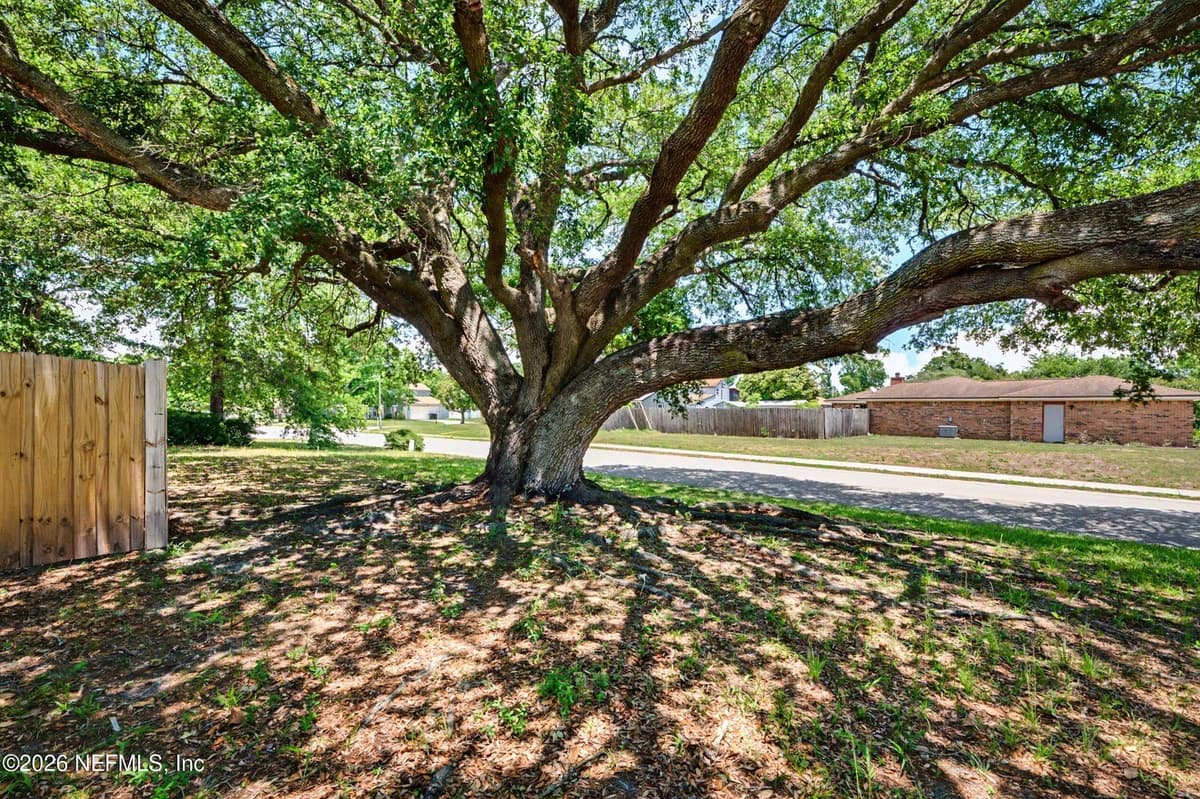 626 CHARLES CARROL Street, Orange Park, FL 32073, Orange Park, FL - photo 3