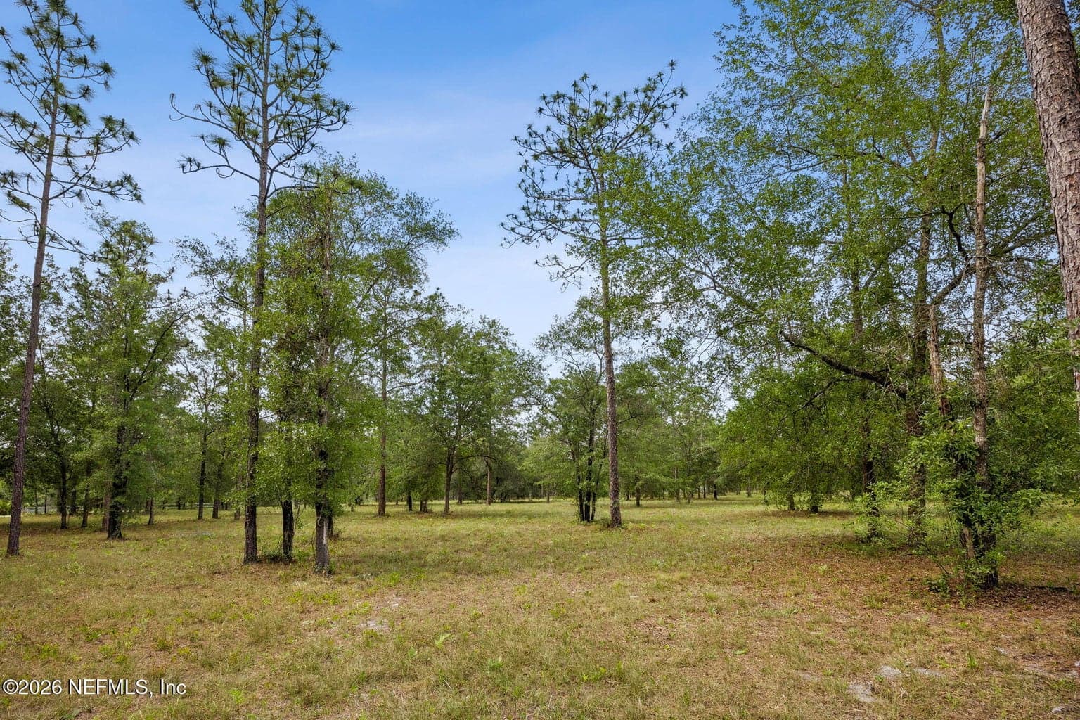 6015 PLANTATION Court, Keystone Heights, FL 32656, Keystone Heights, FL - photo 1