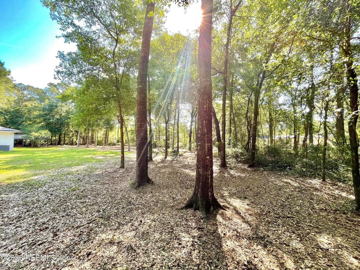 4583 ALLIGATOR Boulevard, Middleburg, FL 32068, Middleburg, FL - photo 2