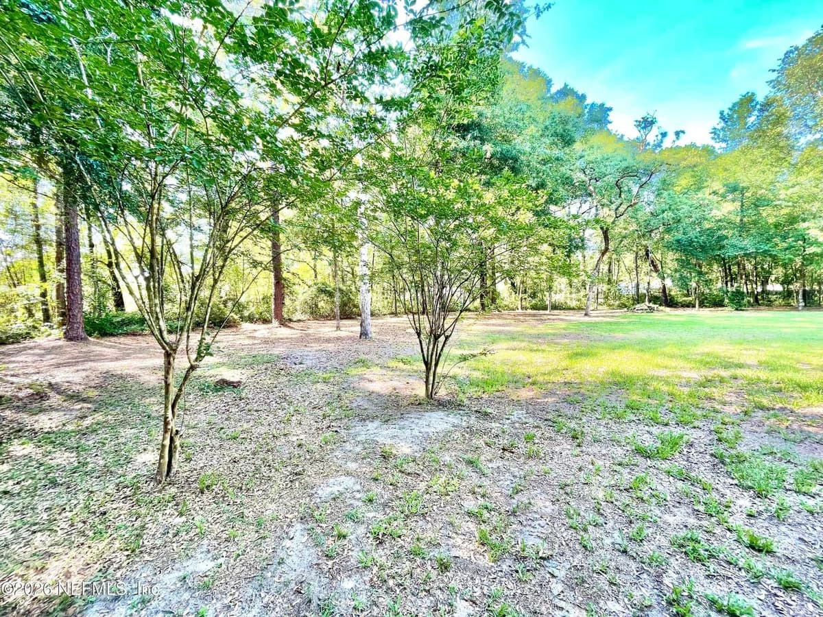 4583 ALLIGATOR Boulevard, Middleburg, FL 32068, Middleburg, FL - photo 3