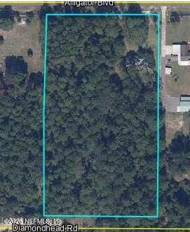 4843 ALLIGATOR Boulevard, Middleburg, FL 32068, Middleburg, FL - photo 2
