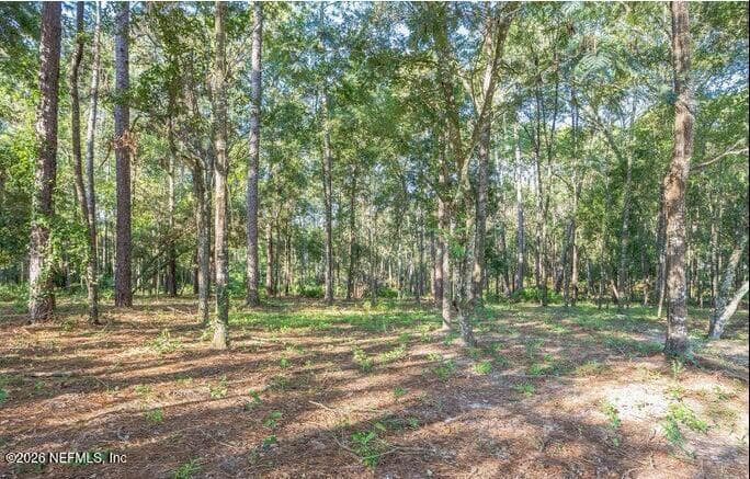 4843 ALLIGATOR Boulevard, Middleburg, FL 32068
