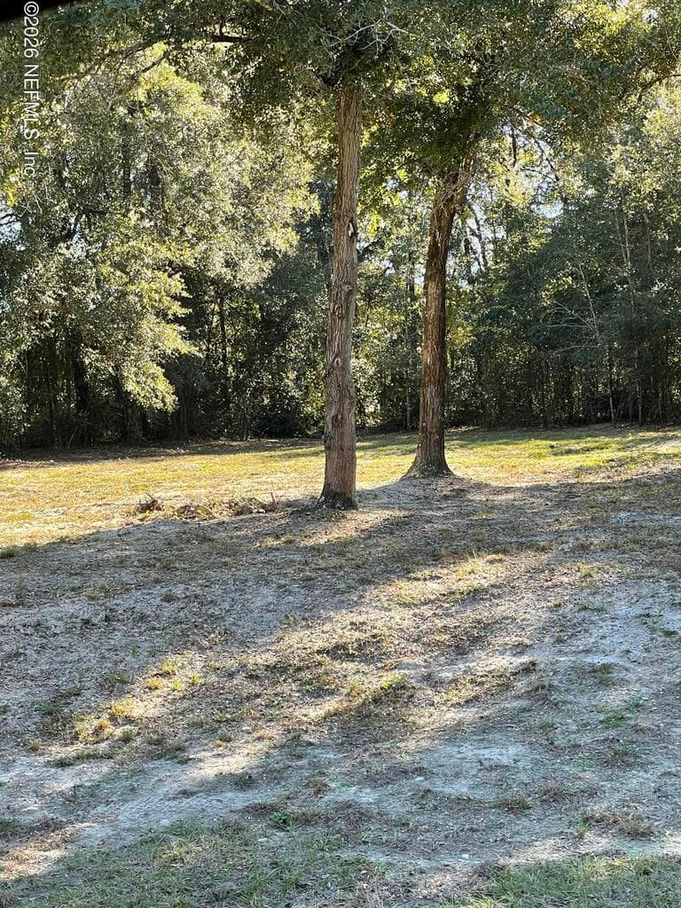 1721 HAGANS RIDGE Court, Green Cove Springs, FL 32043