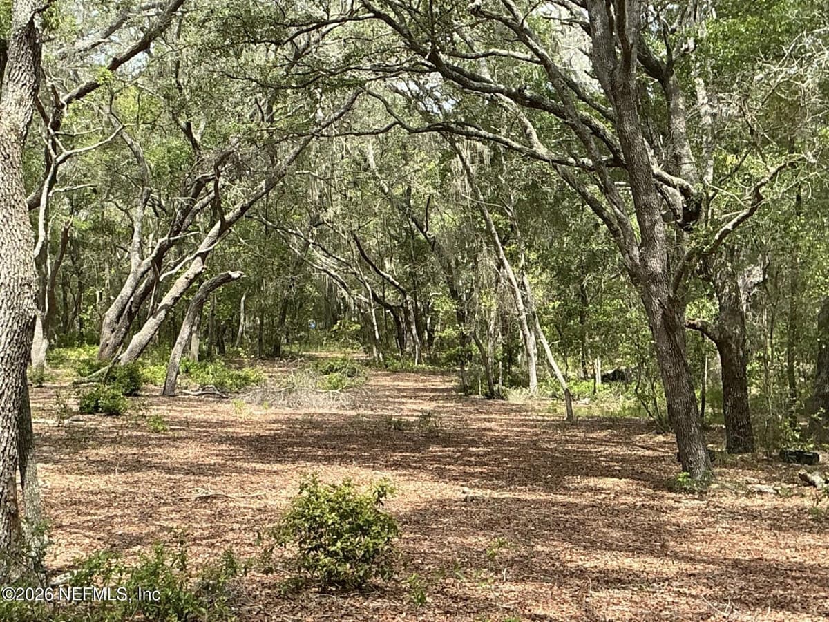 1643 STATE RD 20, Hawthorne, FL 32640, Hawthorne, FL - photo 3