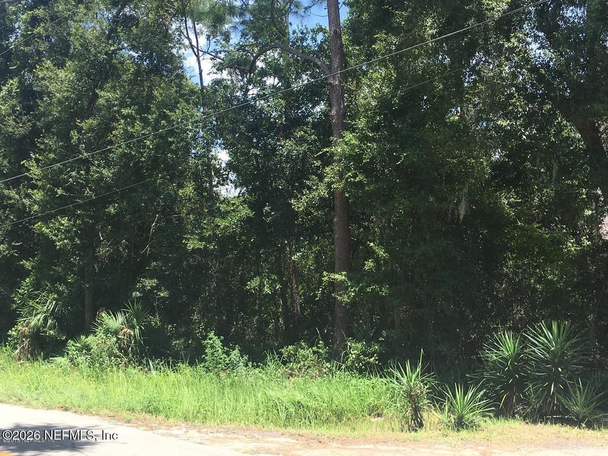 320 ALABAMA Avenue, Palatka, FL 32177, Palatka, FL - photo 3