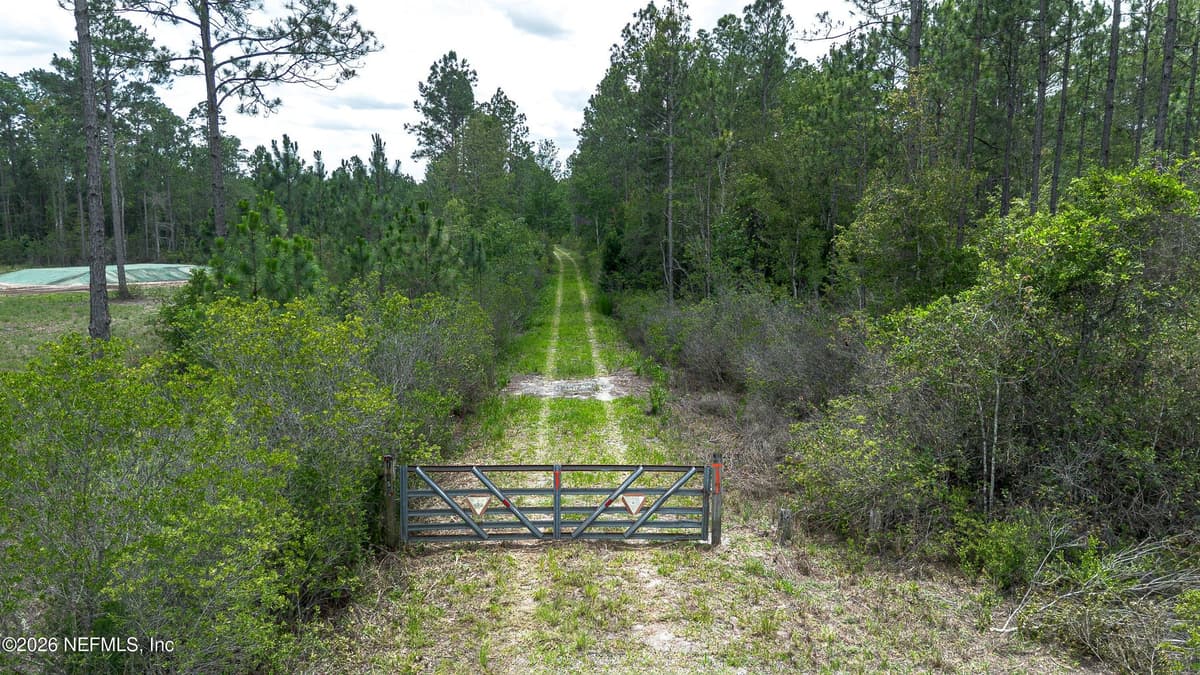 15450 FOREST TRAIL Road, Jacksonville, FL 32234, Jacksonville, FL - photo 3