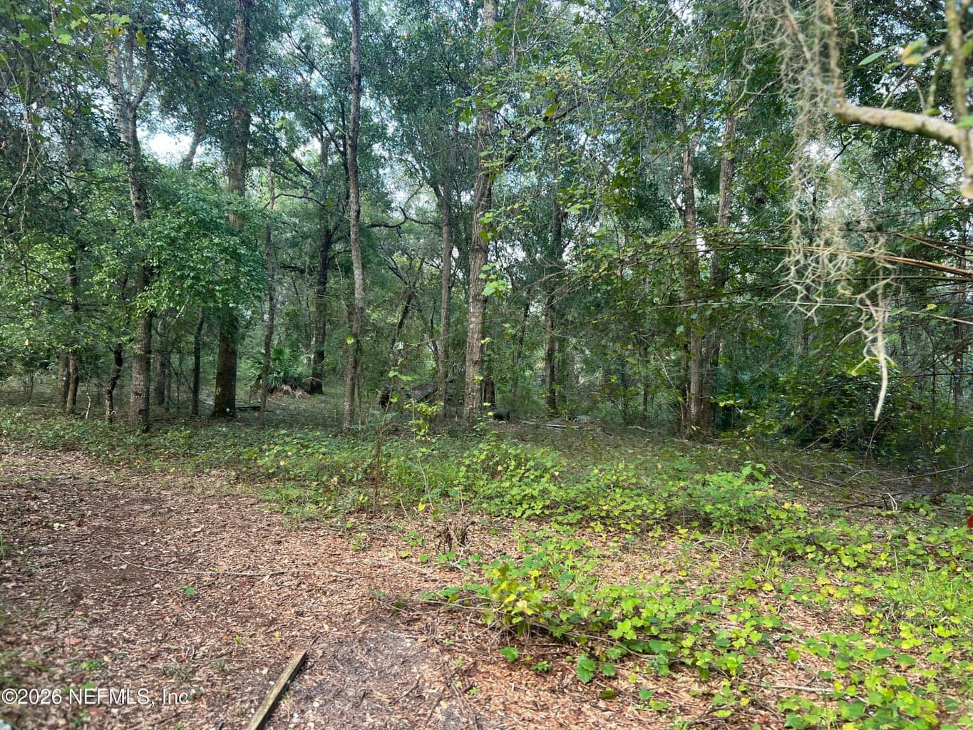 126 WILLOW Lane, Hawthorne, FL 32640, Hawthorne, FL - photo 1