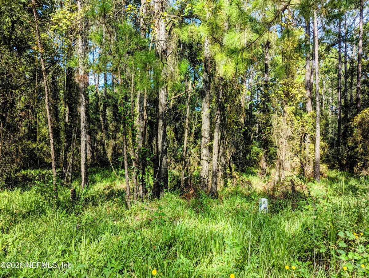 000 NE US HWY 301, Waldo, FL 32694, Waldo, FL - photo 2