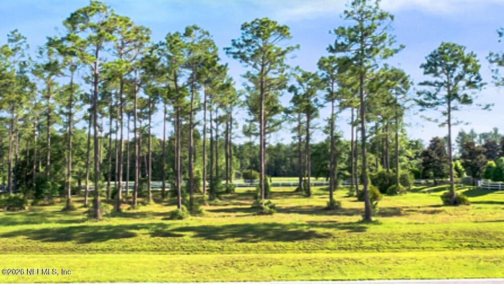9925 KINGS CROSSING Drive, Jacksonville, FL 32219, Jacksonville, FL - photo 3