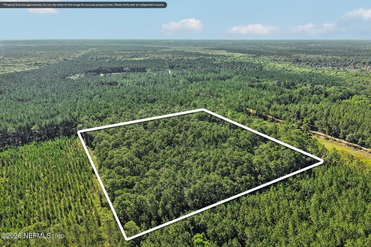 0 COOPERS NECK Road, Hilliard, FL 32046, Hilliard, FL - photo 2