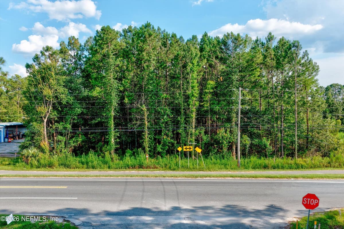 4393 COUNTY ROAD 218, Middleburg, FL 32068, Middleburg, FL - photo 2