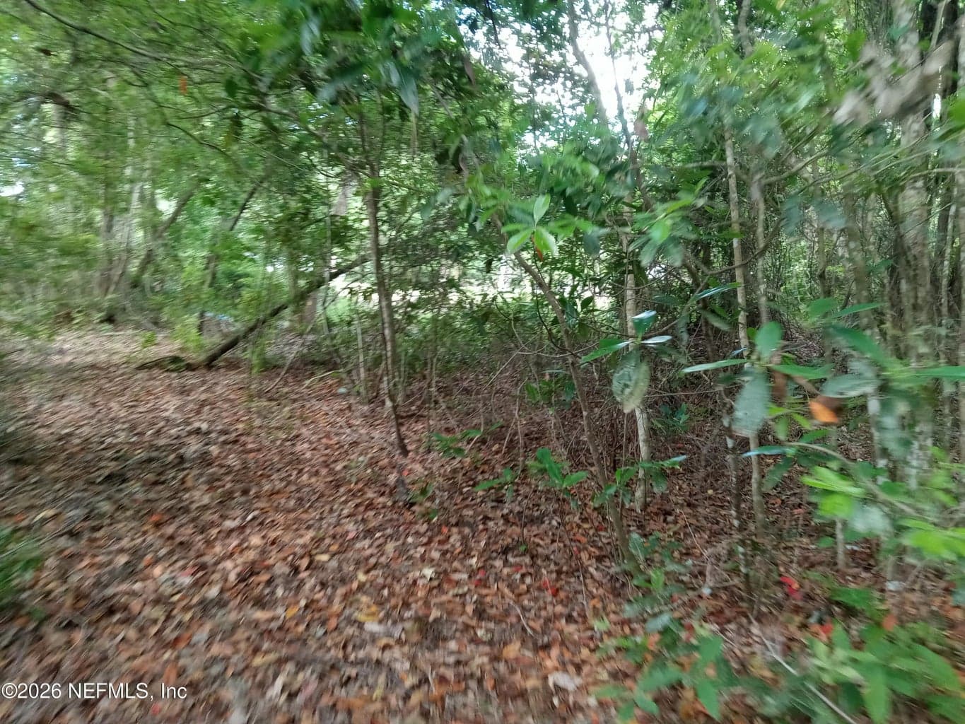 75427 JOHNSON LAKE Road, Yulee, FL 32097, Yulee, FL - photo 1