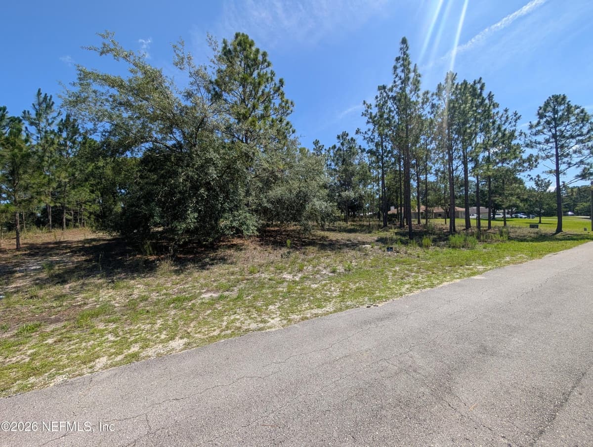 4200 MAIL COACH Court, Middleburg, FL 32068, Middleburg, FL - photo 2