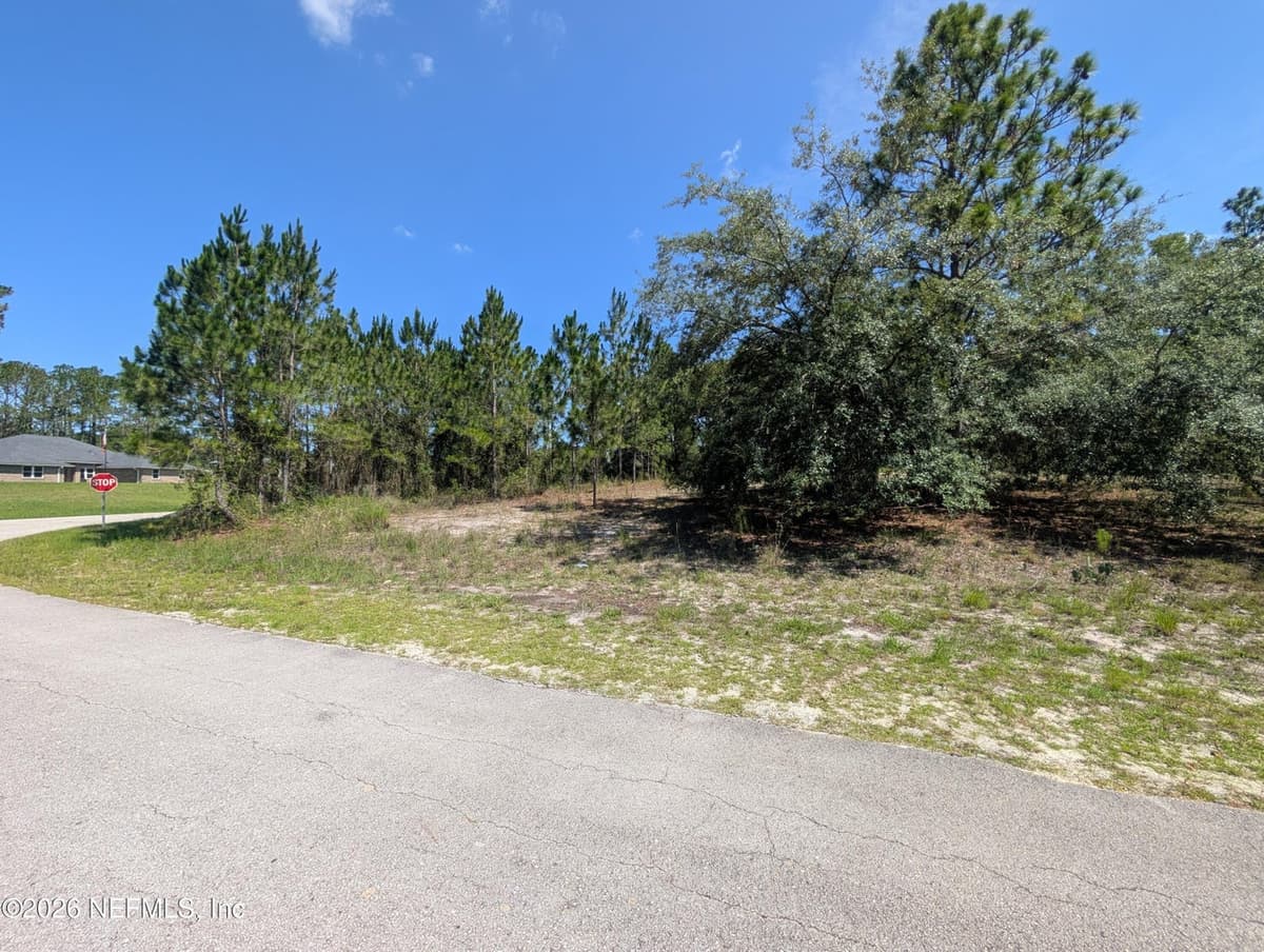 4200 MAIL COACH Court, Middleburg, FL 32068, Middleburg, FL - photo 3