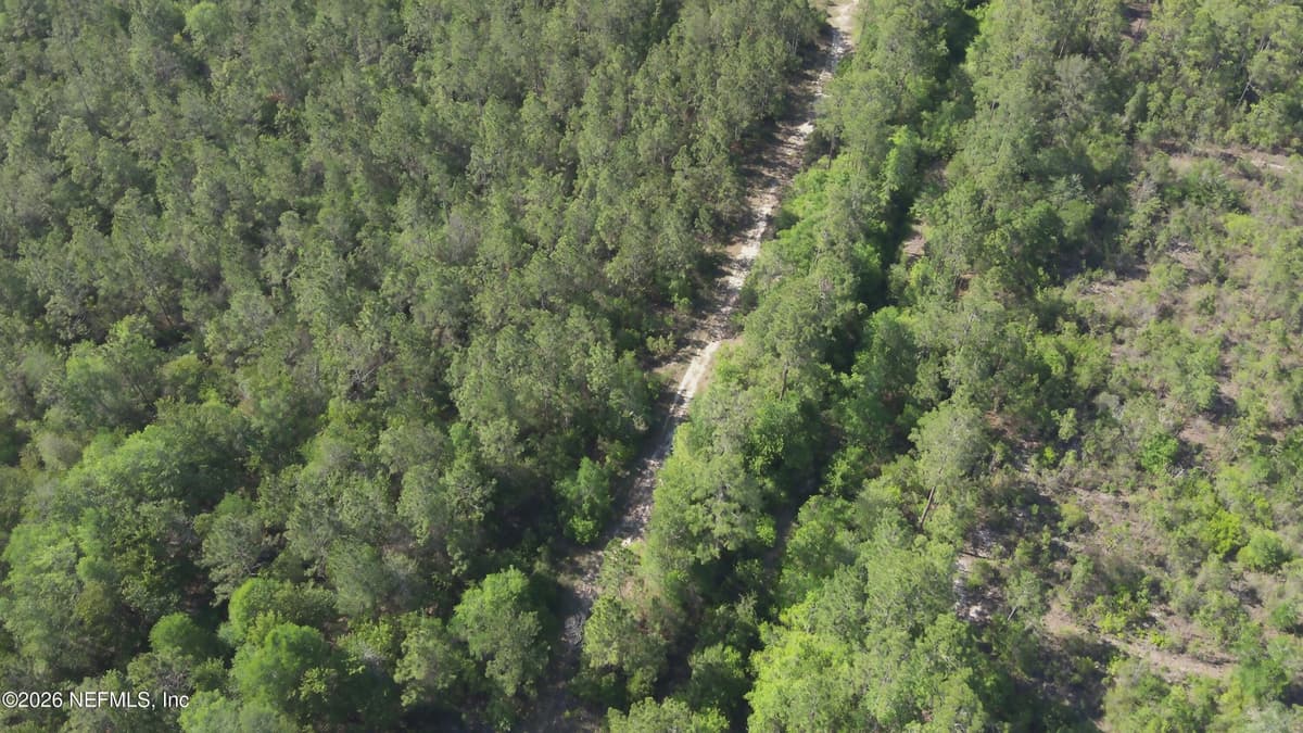 0 MAXVILLE MACCLENNY Highway, Jacksonville, FL 32234, Jacksonville, FL - photo 2