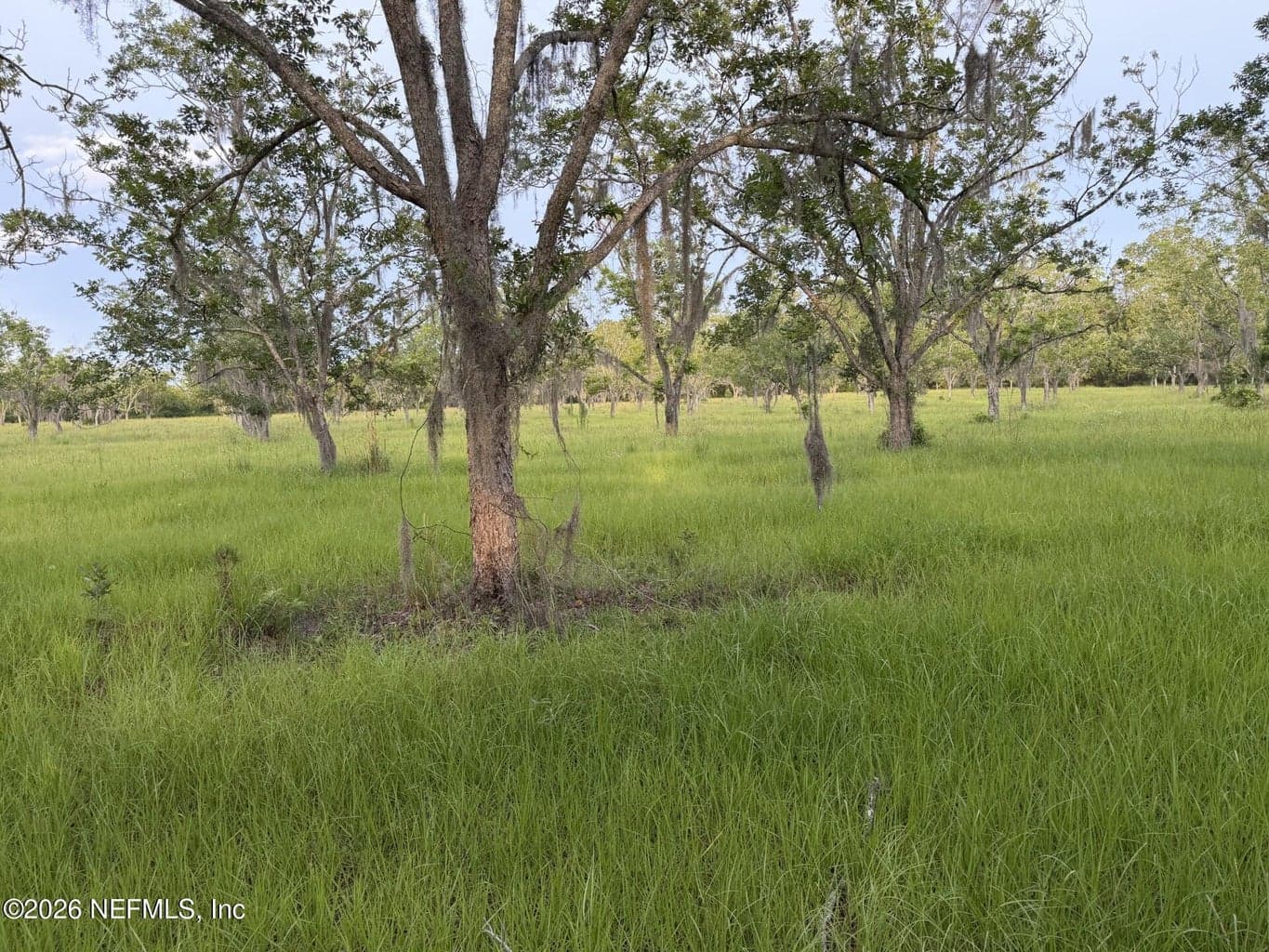 17620 NE 77TH Lane, Hawthorne, FL 32640, Hawthorne, FL - photo 1