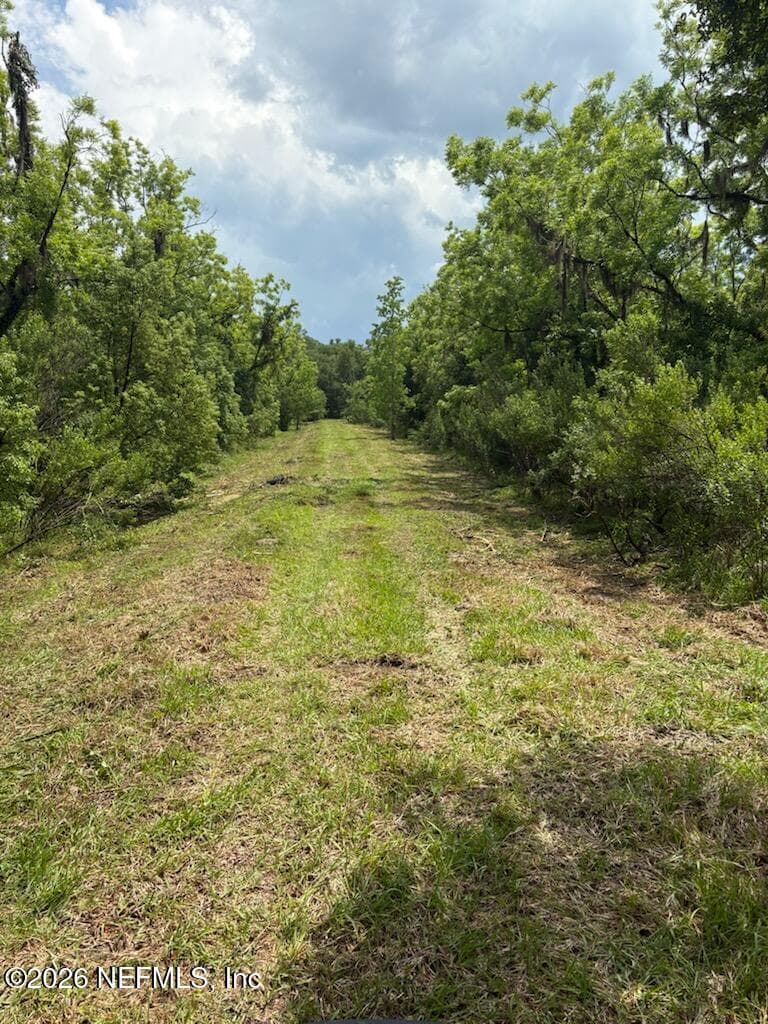 459 COUNTY ROAD 2006 EAST, Bunnell, FL 32110, Bunnell, FL - photo 1