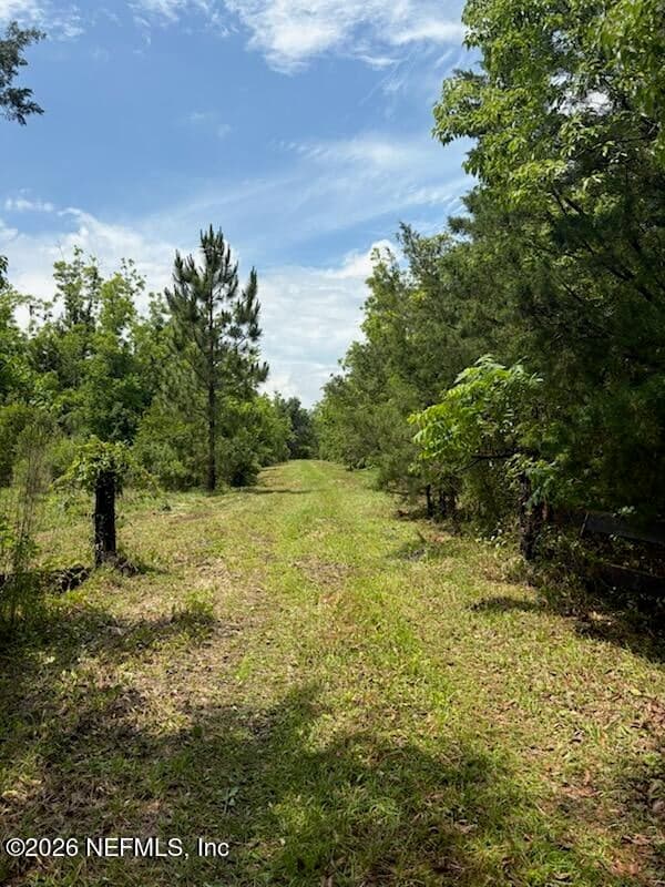 459 COUNTY ROAD 2006 EAST, Bunnell, FL 32110, Bunnell, FL - photo 2