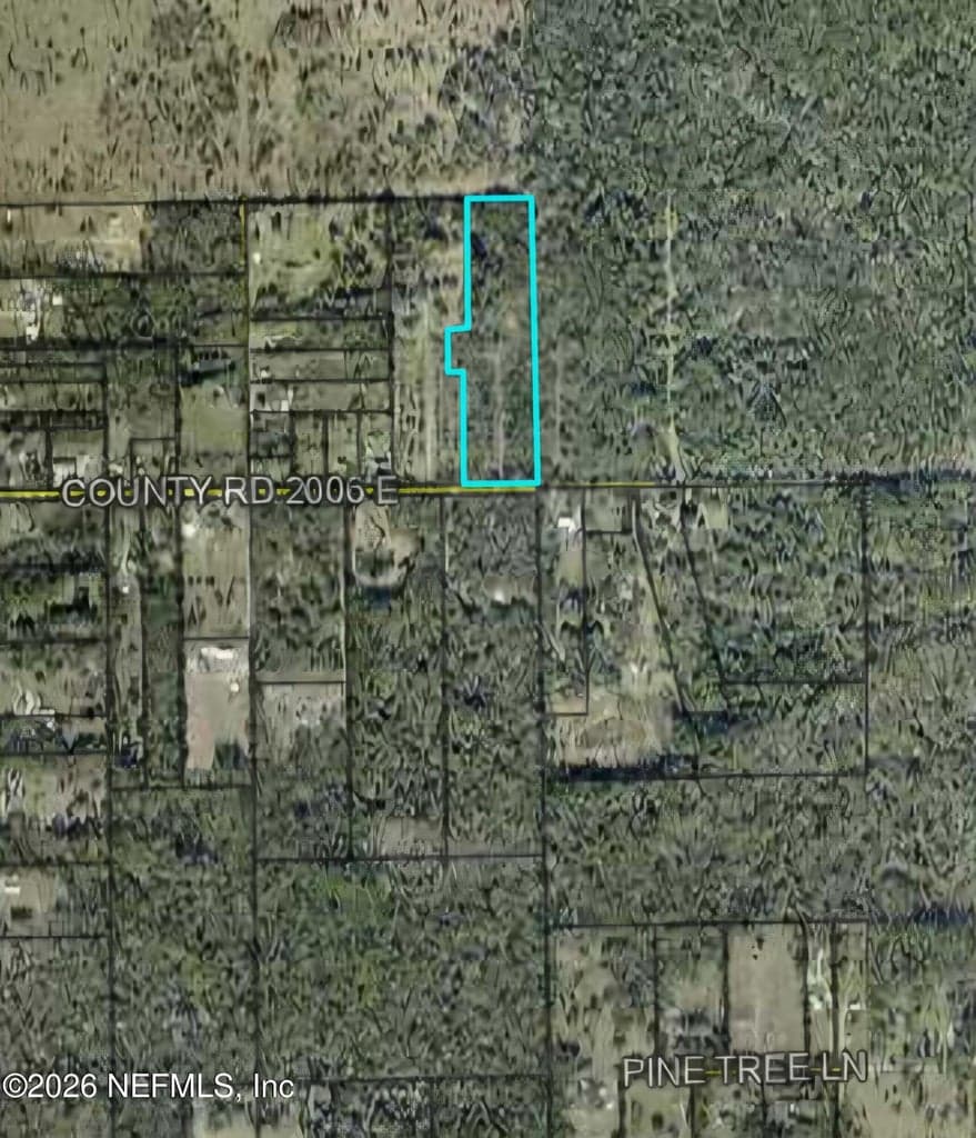 459 COUNTY ROAD 2006 EAST, Bunnell, FL 32110, Bunnell, FL - photo 3