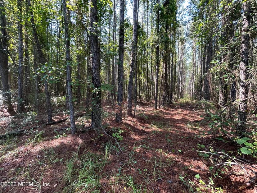 709 GEORGETOWN DENVER Road, Crescent City, FL 32112