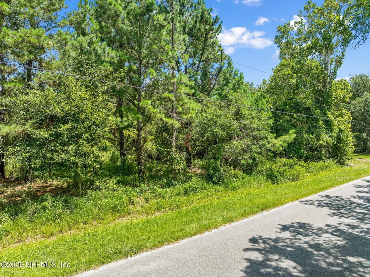1675 PHILIPS MANOR Road, Fernandina Beach, FL 32034, Fernandina Beach, FL - photo 2
