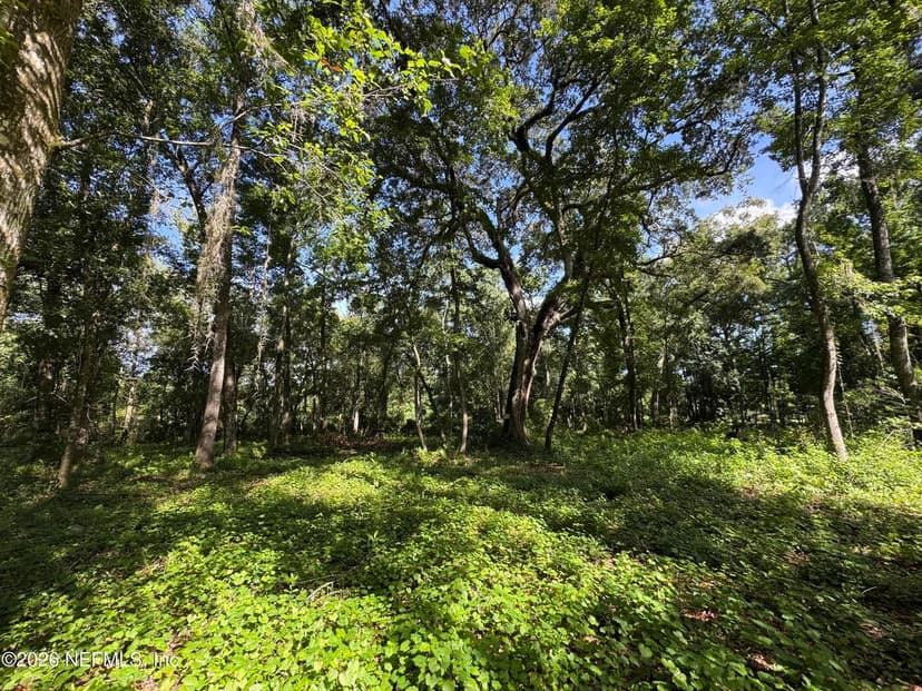 241 INDIAN LAKES FOREST Road, Florahome, FL 32140