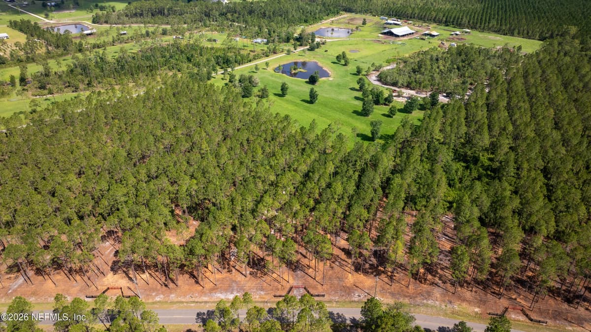 LOT 2 WOODS Lane, Callahan, FL 32011, Callahan, FL - photo 3