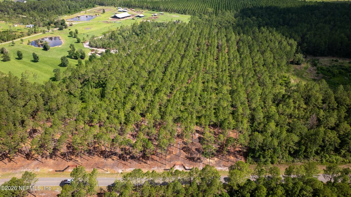 LOT 4 WOODS Lane, Callahan, FL 32011, Callahan, FL - photo 2