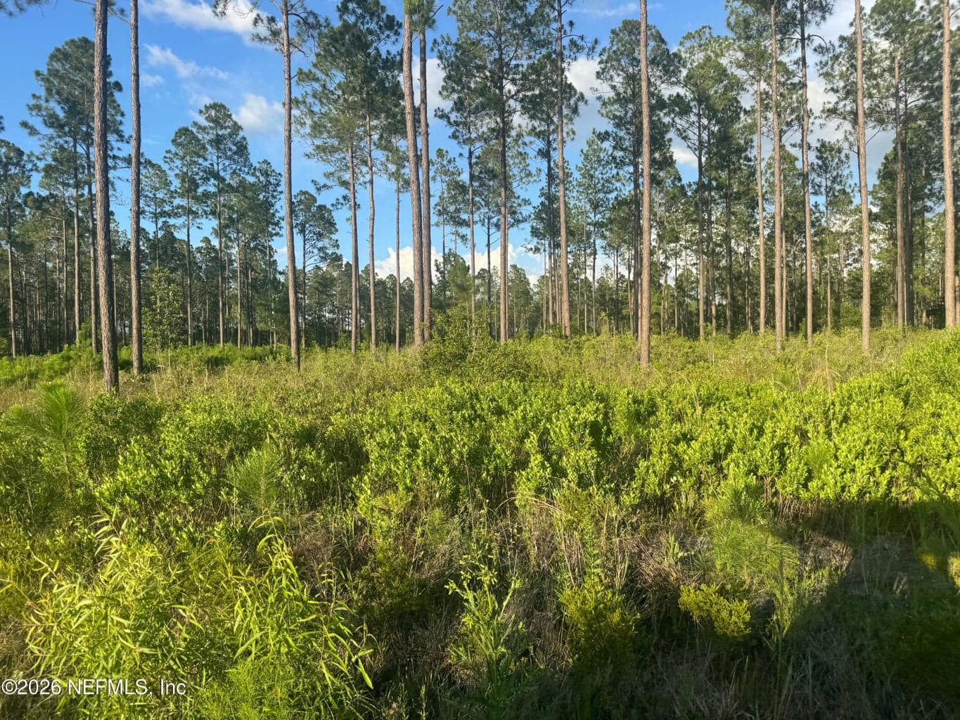 TBD NW CO RD 235, Lake Butler, FL 32054, Lake Butler, FL - photo 1