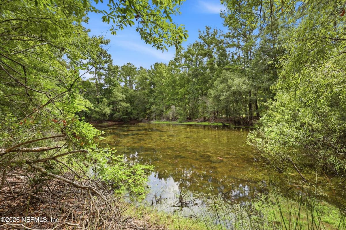143 PINE TREE Road, Palatka, FL 32177, Palatka, FL - photo 3