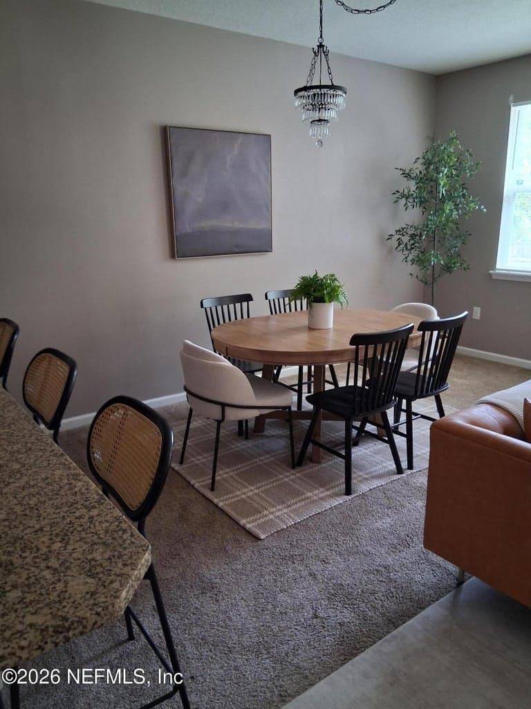 11462 CARSON LAKE Drive, Jacksonville, FL 32221, Jacksonville, FL - photo 3