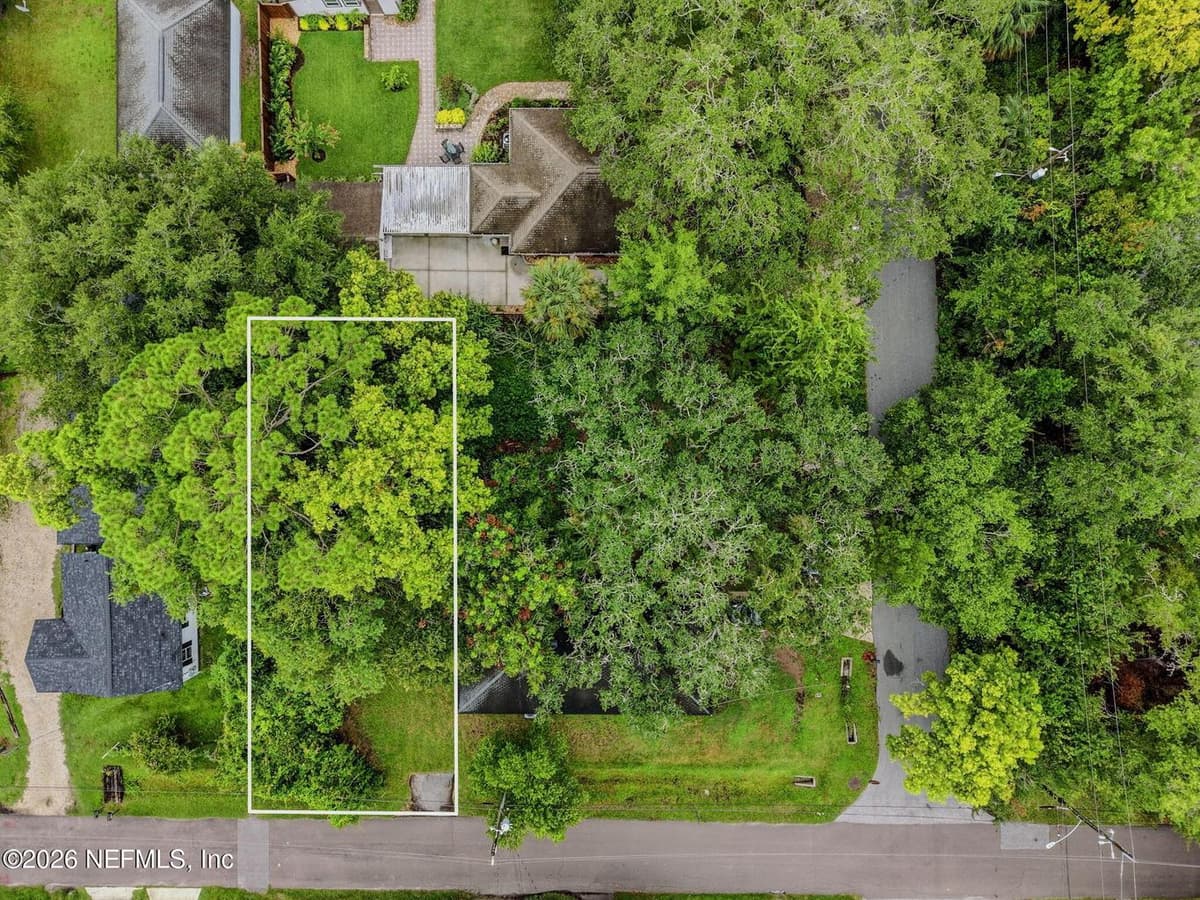 3521 DREW Street, Jacksonville, FL 32207, Jacksonville, FL - photo 3