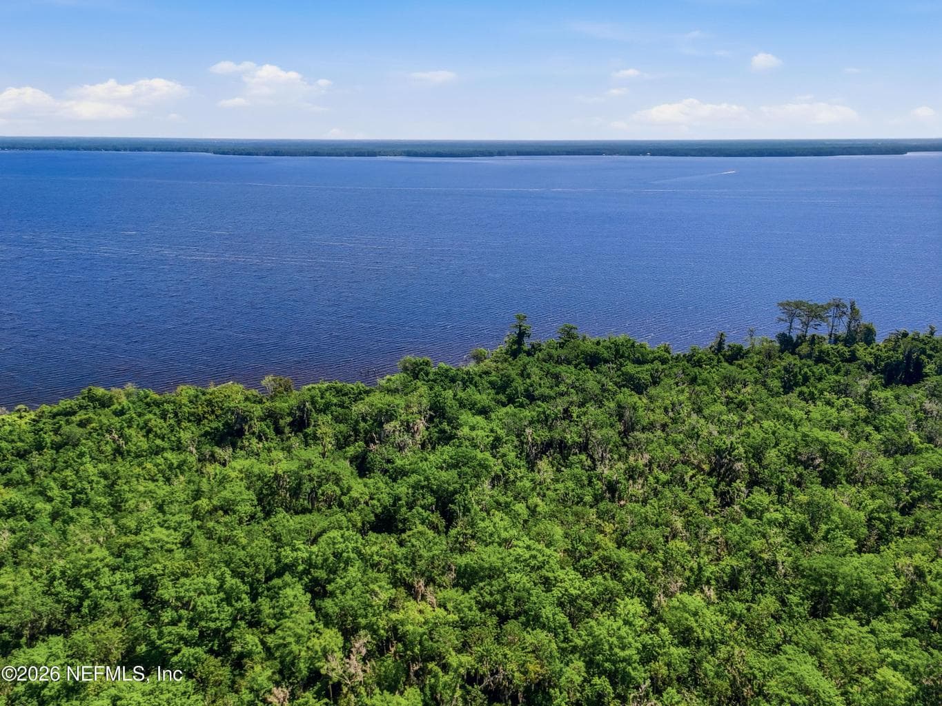 6017 COUNTY RD 209 S, Green Cove Springs, FL 32043, Green Cove Springs, FL - photo 1