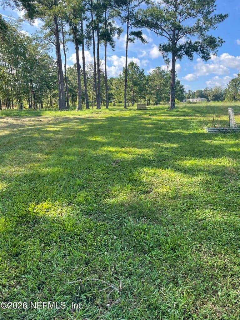 4321 FALCON RUN Lane, Middleburg, FL 32068, Middleburg, FL - photo 2