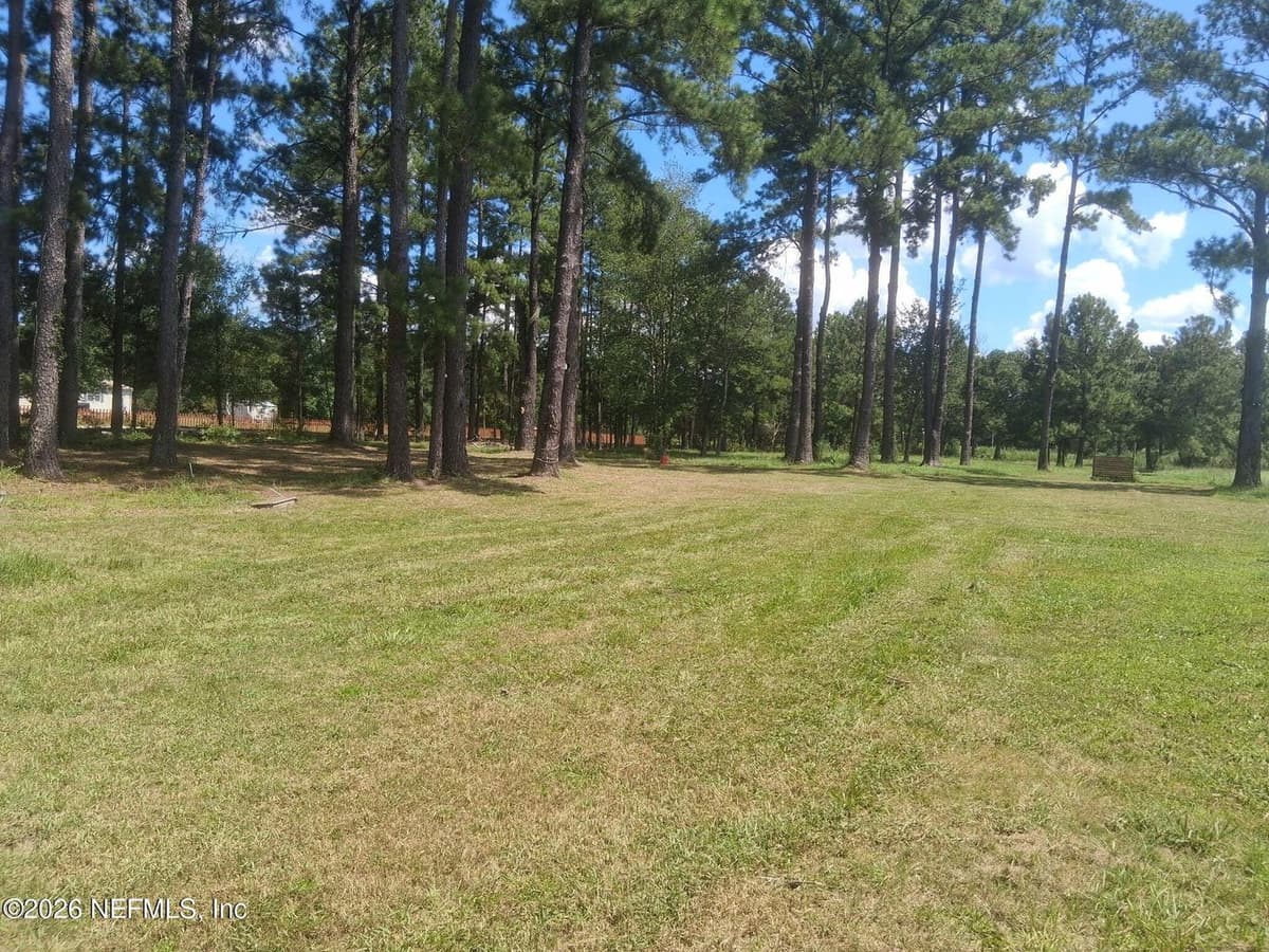 4321 FALCON RUN Lane, Middleburg, FL 32068, Middleburg, FL - photo 2