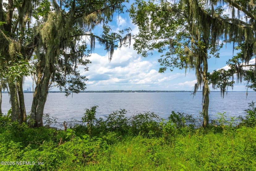 TBD MILLION Street, East Palatka, FL 32131