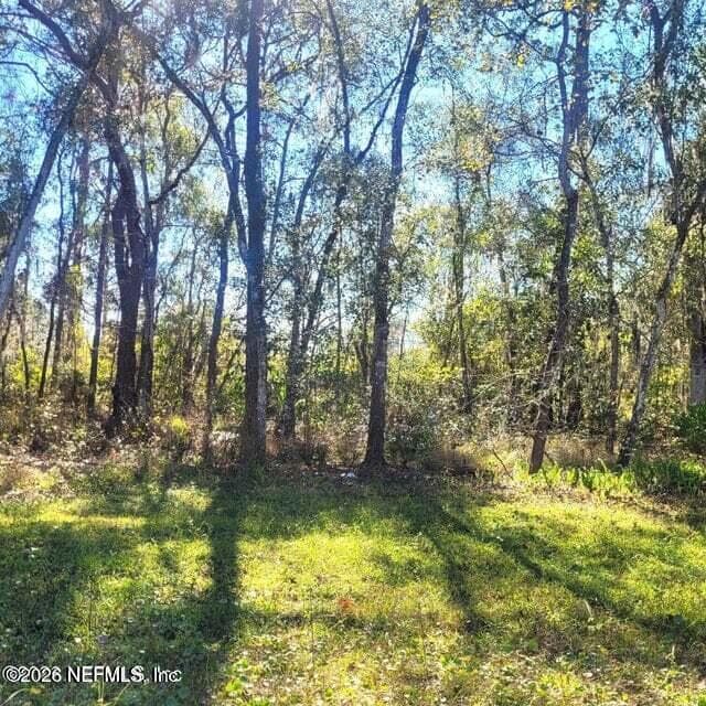 000 MOSS Drive, St. Augustine, FL 32092, St. Augustine, FL - photo 3