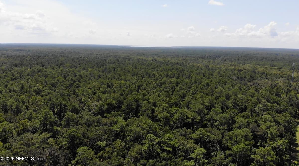 680 S HIGHWAY 17, San Mateo, FL 32187, San Mateo, FL - photo 2