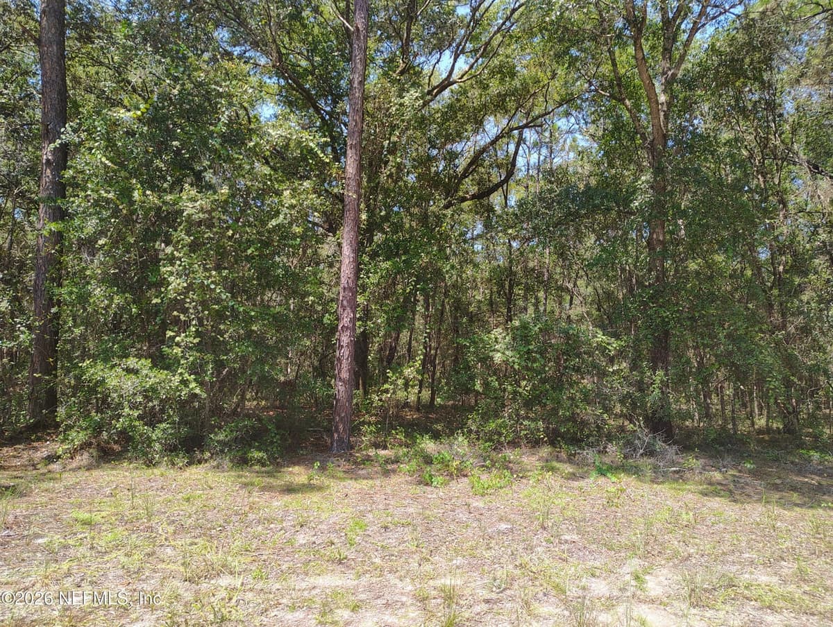 00 SUMAC Street, Interlachen, FL 32148, Interlachen, FL - photo 3