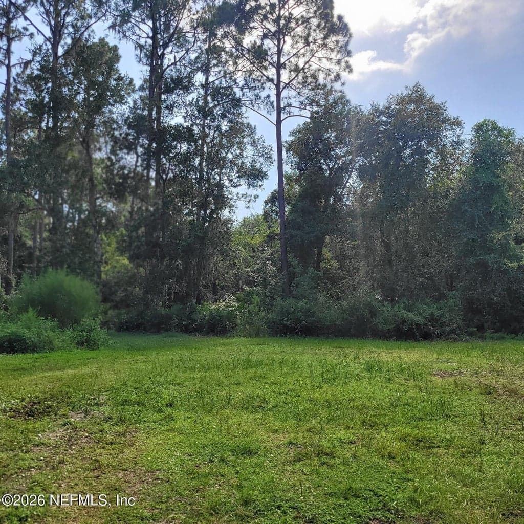 000 MOSS Drive, St. Augustine, FL 32092, St. Augustine, FL - photo 3