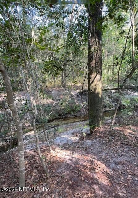 10398 HOLLIE Road, Glen St. Mary, FL 32040, Glen St. Mary, FL - photo 2