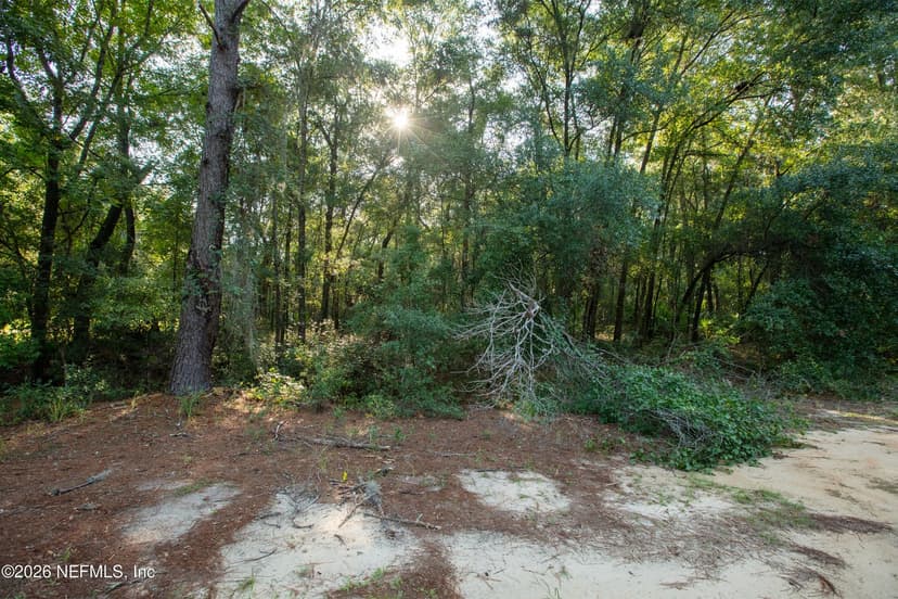 0 BOOTS Road, Melrose, FL 32666