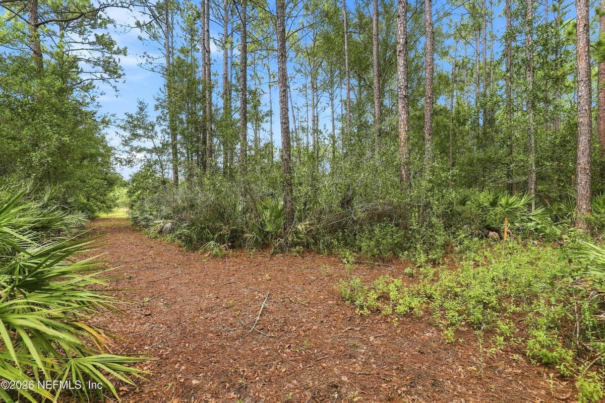 9500 TAYLOR FIELD Road, Jacksonville, FL 32222, Jacksonville, FL - photo 3