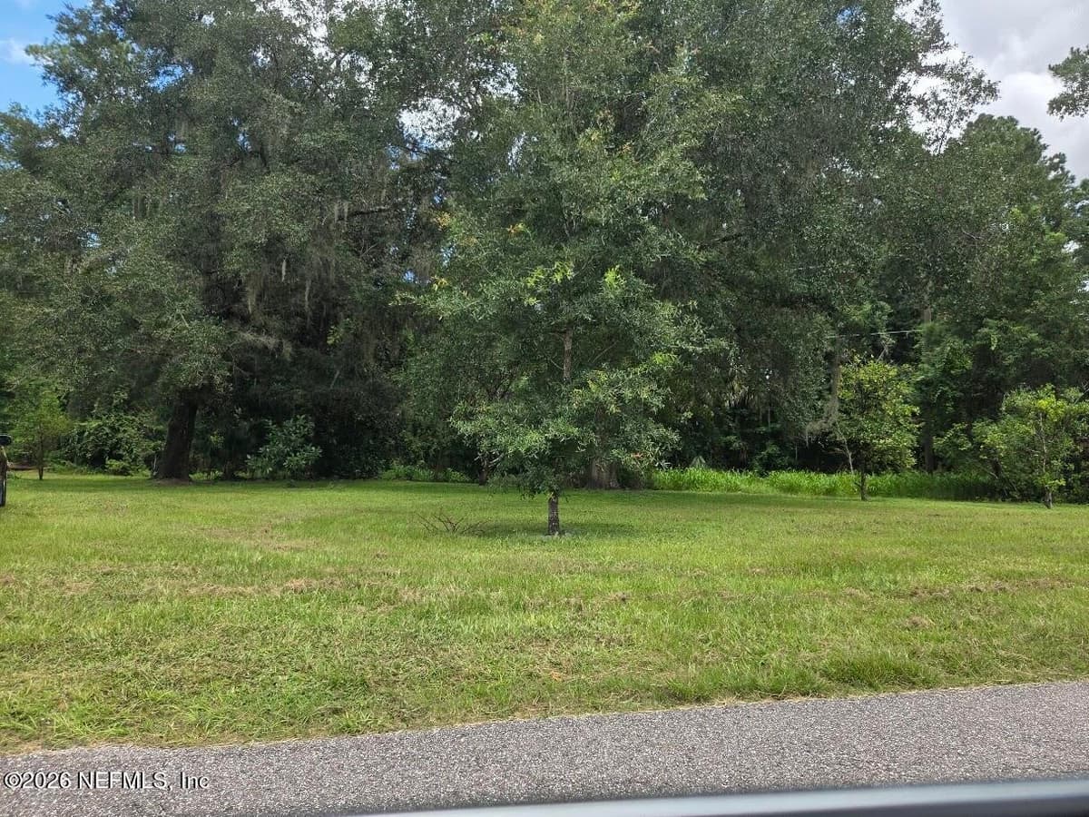 850 COOKS Lane, Green Cove Springs, FL 32043, Green Cove Springs, FL - photo 2