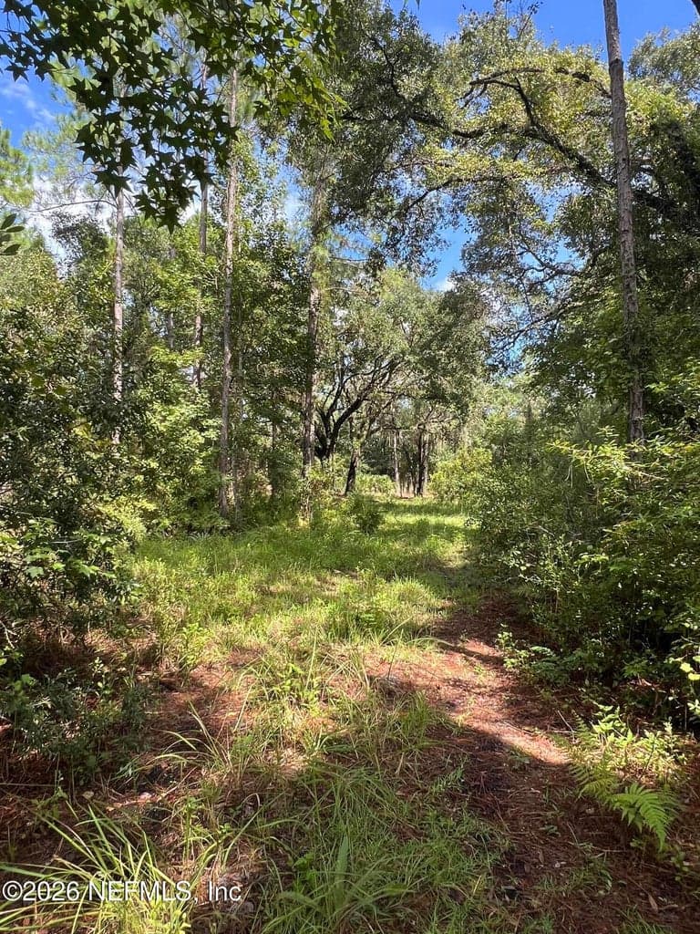 8000 COUNTY ROAD 13 N, St. Augustine, FL 32092, St. Augustine, FL - photo 2