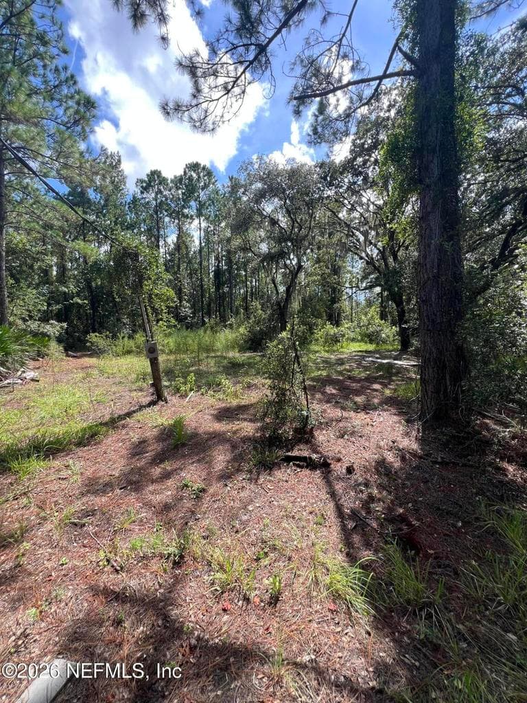 8000 COUNTY ROAD 13 N, St. Augustine, FL 32092, St. Augustine, FL - photo 3