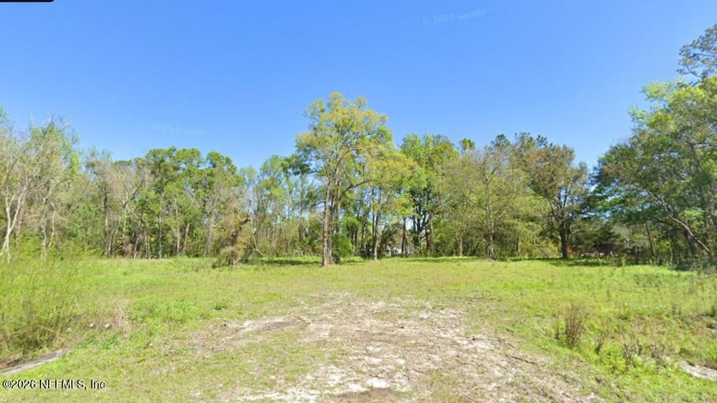 0 MONCRIEF-DINSMORE Road, Jacksonville, FL 32219