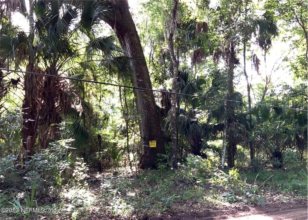 7245 SE 246TH Terrace, Hawthorne, FL 32640, Hawthorne, FL - photo 2