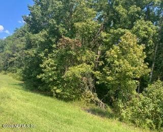 0 217 County Road, Middleburg, FL 32234