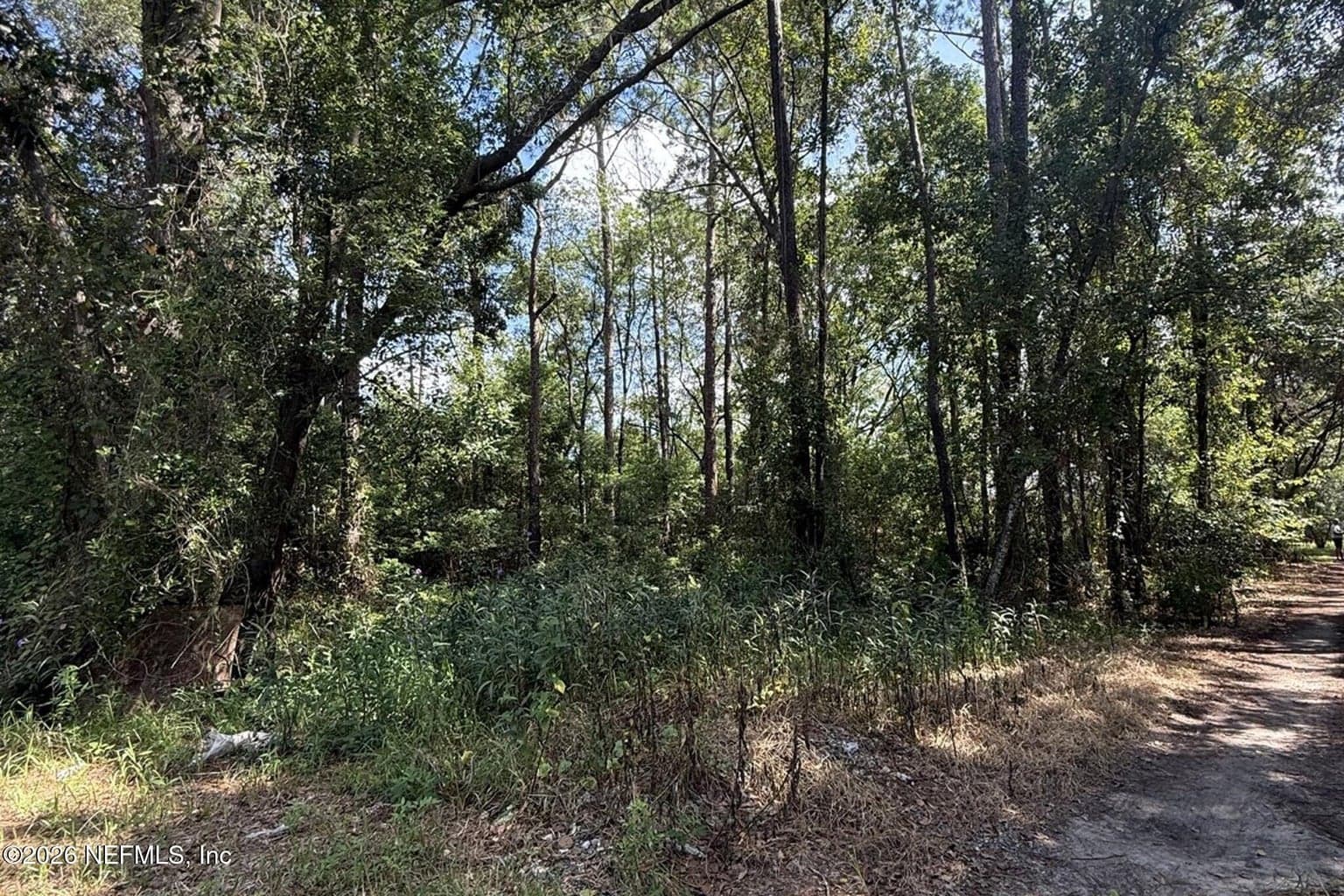 0 DANA Drive, Jacksonville, FL 32258